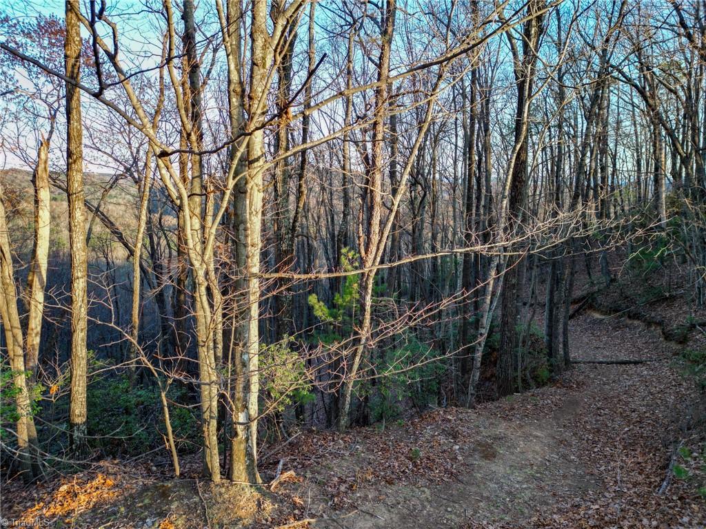 000 Gowings Knob Road, McGrady, North Carolina image 4