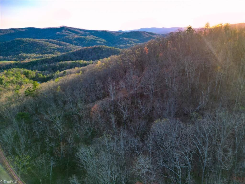 000 Gowings Knob Road, McGrady, North Carolina image 13