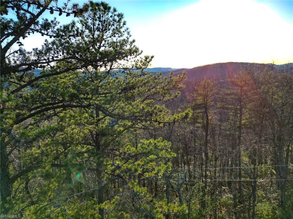000 Gowings Knob Road, McGrady, North Carolina image 6
