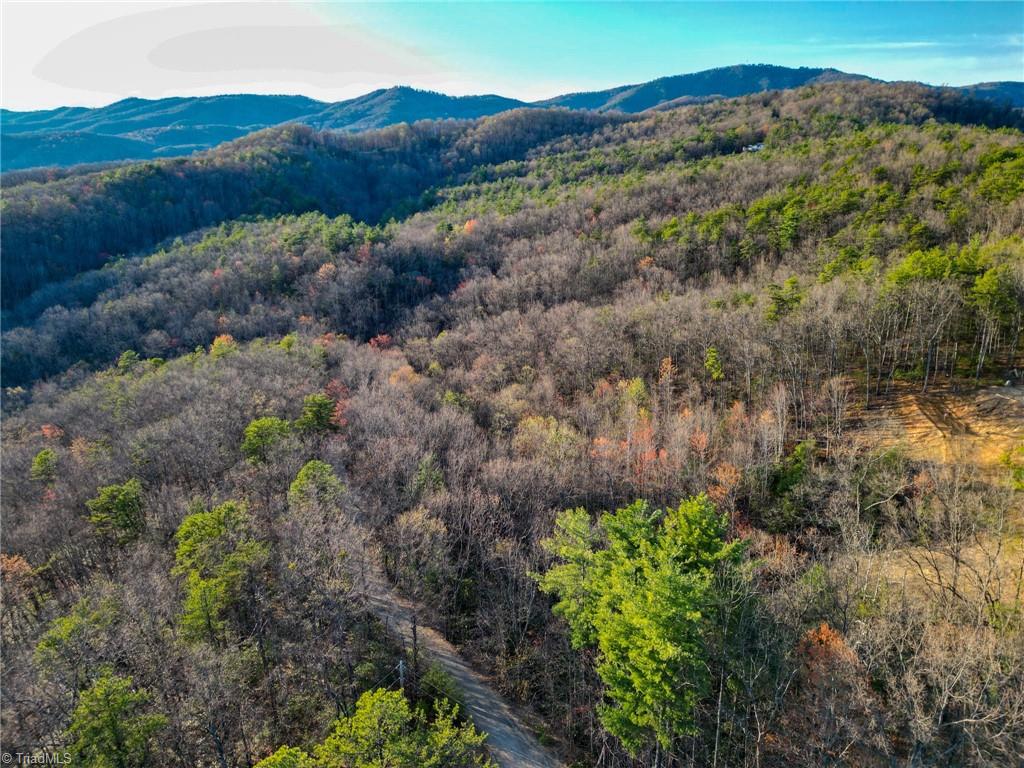 000 Gowings Knob Road, McGrady, North Carolina image 11