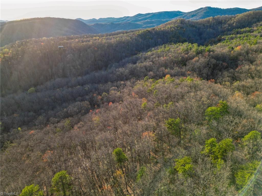 000 Gowings Knob Road, McGrady, North Carolina image 10