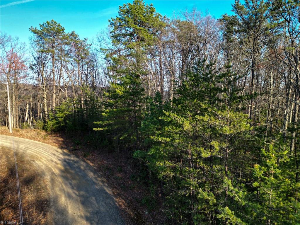 000 Gowings Knob Road, McGrady, North Carolina image 1