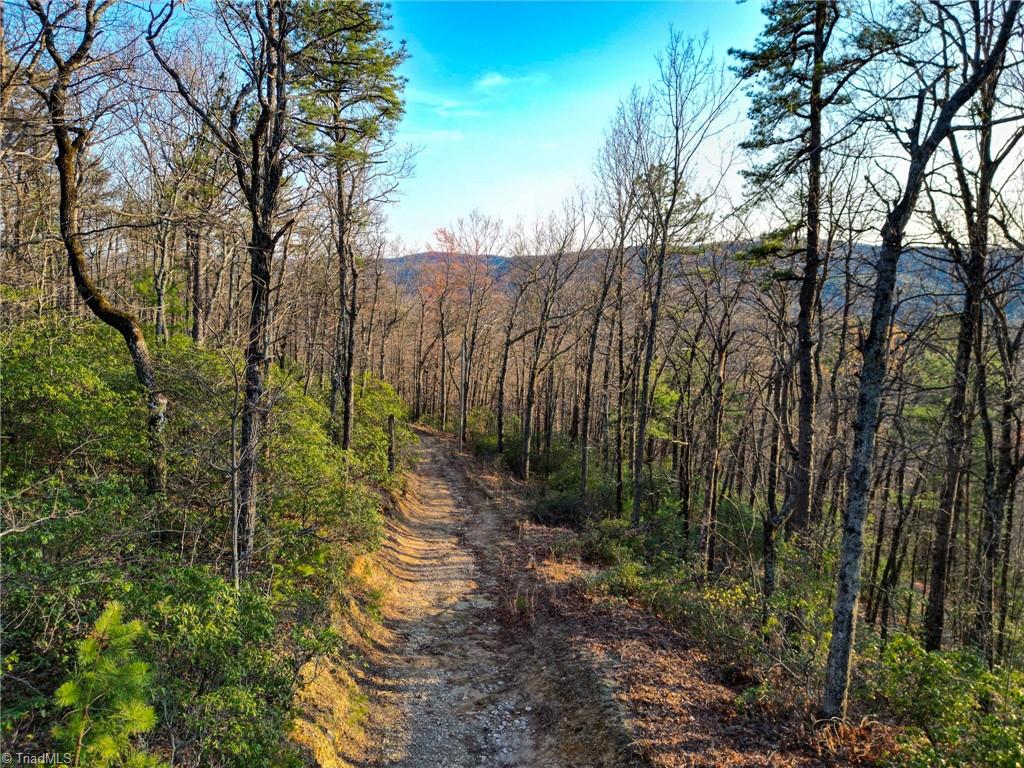 000 Gowings Knob Road, McGrady, North Carolina image 5