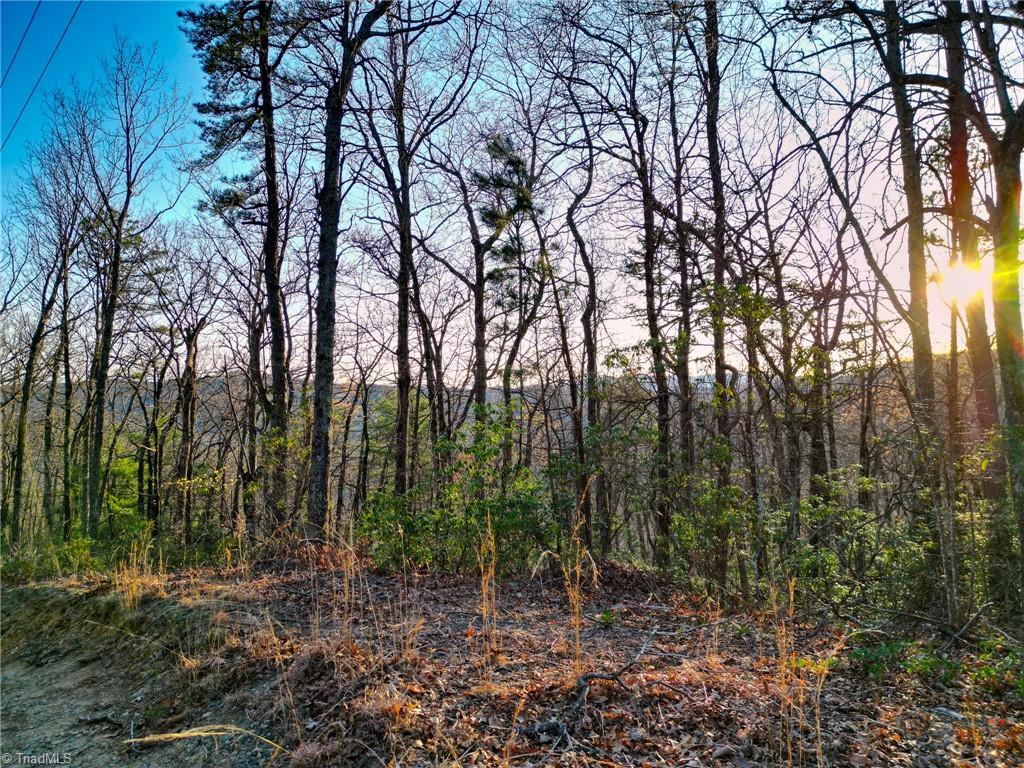 000 Gowings Knob Road, McGrady, North Carolina image 2