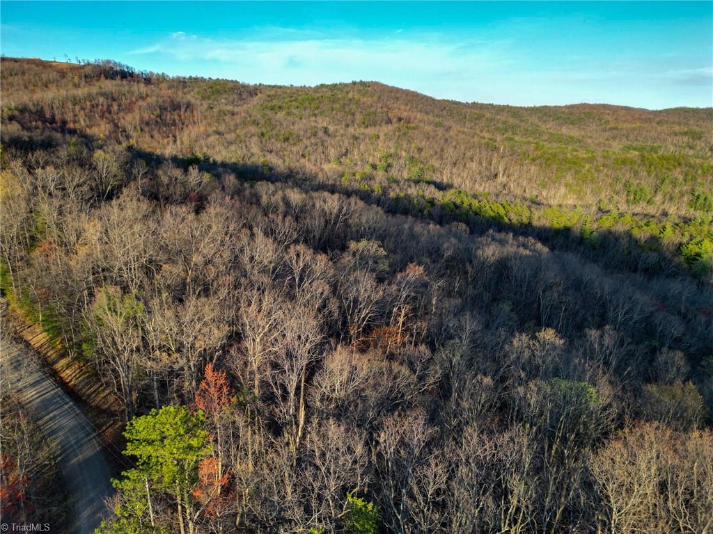 000 Gowings Knob Road, McGrady, North Carolina image 12