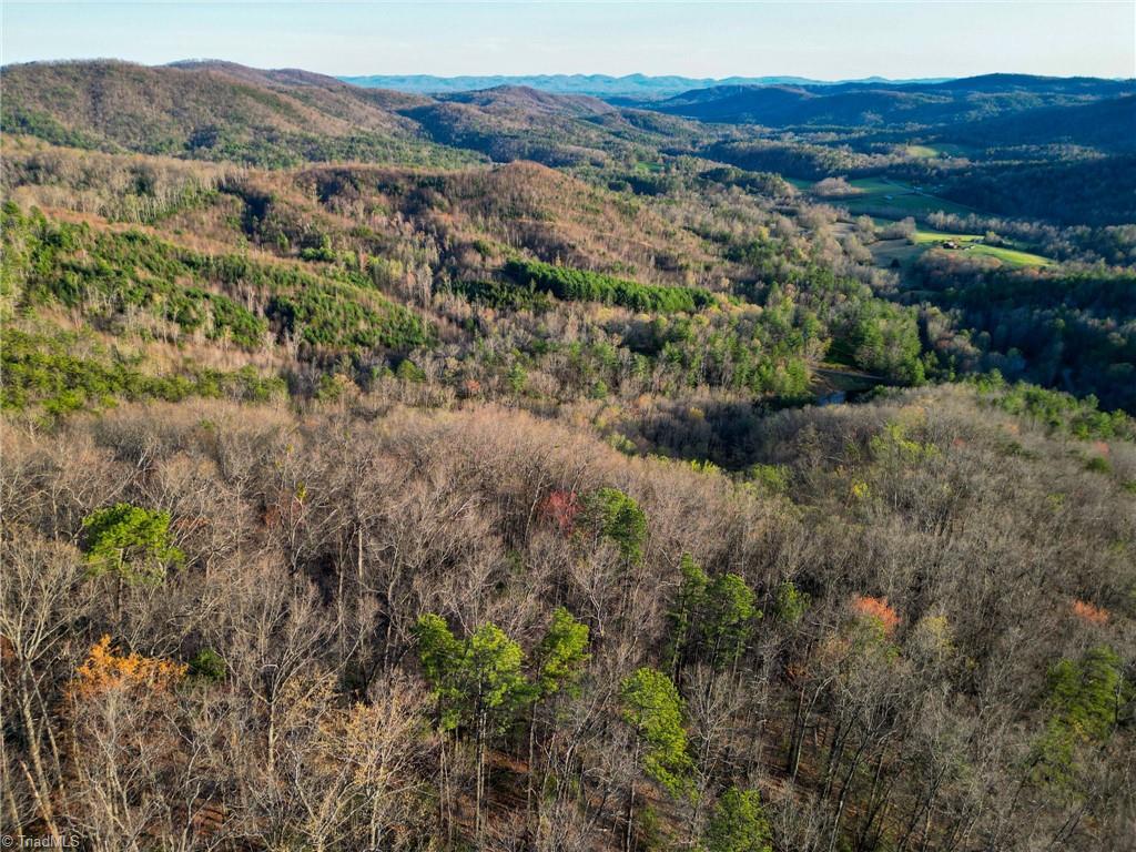 000 Gowings Knob Road, McGrady, North Carolina image 8