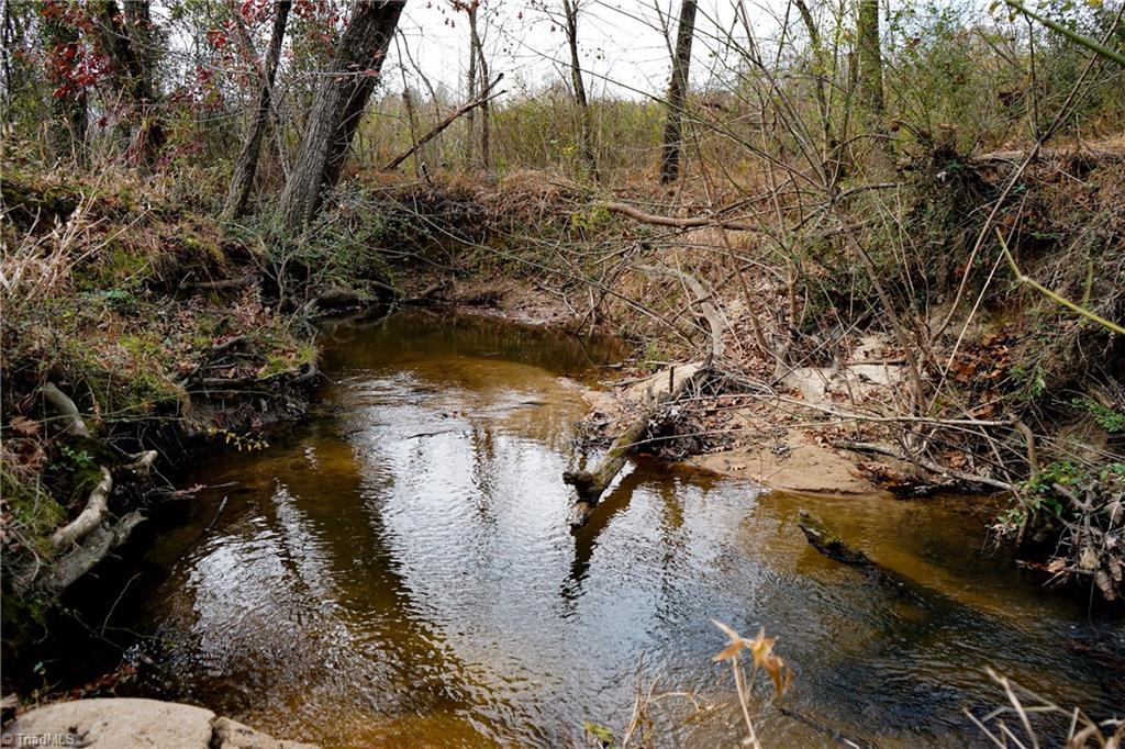 36.6 Acres Towhee Trail, Lexington, North Carolina image 29