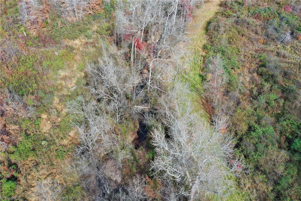 36.6 Acres Towhee Trail, Lexington, North Carolina image 17