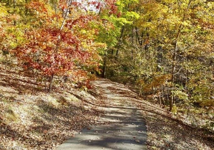 295 Cascading Creek Trail, Denton, North Carolina image 43