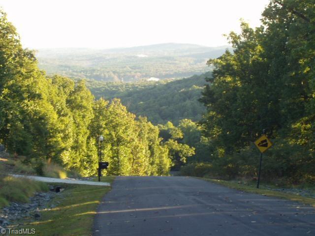 295 Cascading Creek Trail, Denton, North Carolina image 20