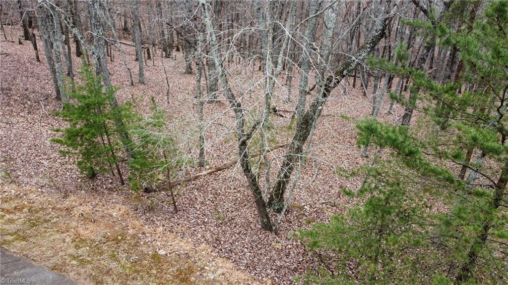 295 Cascading Creek Trail, Denton, North Carolina image 8
