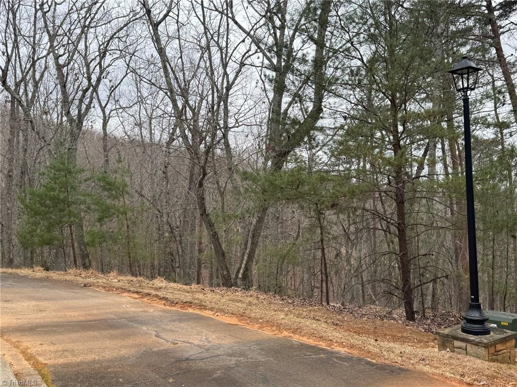 295 Cascading Creek Trail, Denton, North Carolina image 2
