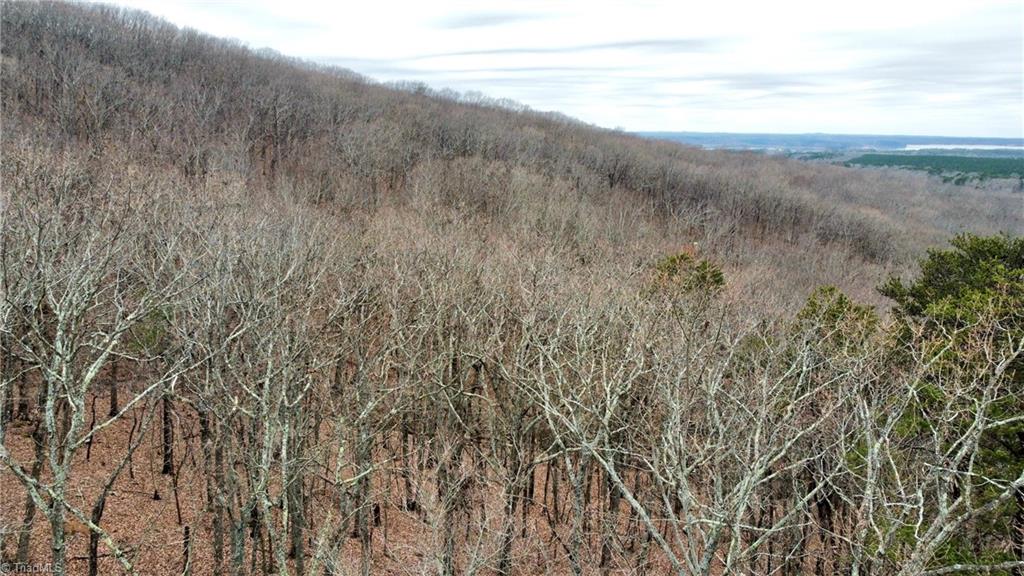 295 Cascading Creek Trail, Denton, North Carolina image 4