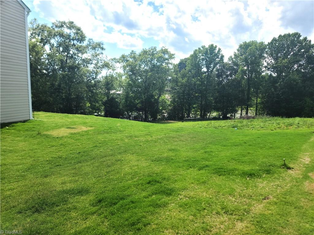 344 Sadie Mae Drive, Lexington, North Carolina image 19