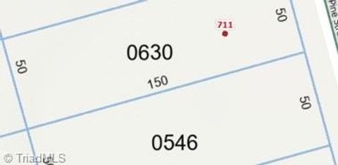 Vacant Land For Sale - 711 Pine Street<br/> Richmond County, Hamlet, NC 28345