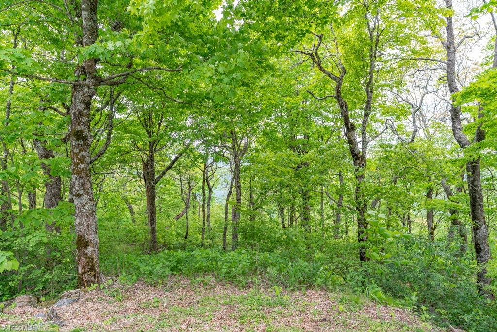 Lot #16 Crown Point Road, West Jefferson, North Carolina image 7