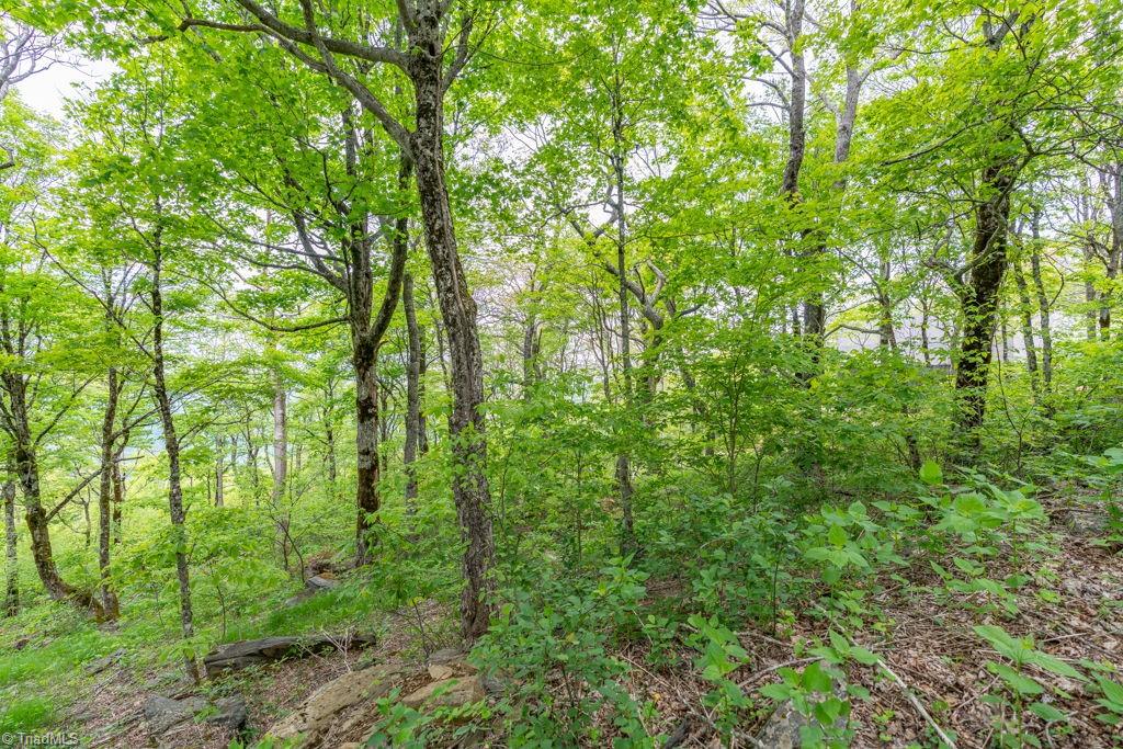 Lot #16 Crown Point Road, West Jefferson, North Carolina image 10
