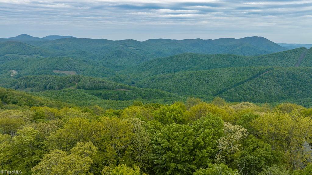 Lot #16 Crown Point Road, West Jefferson, North Carolina image 13