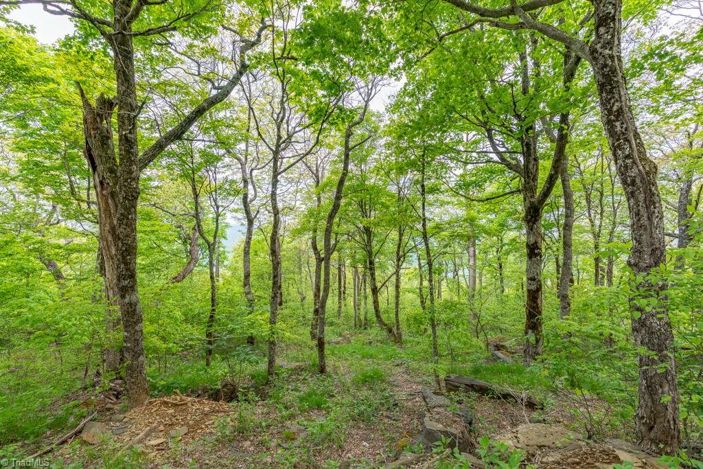 Lot #16 Crown Point Road, West Jefferson, North Carolina image 9