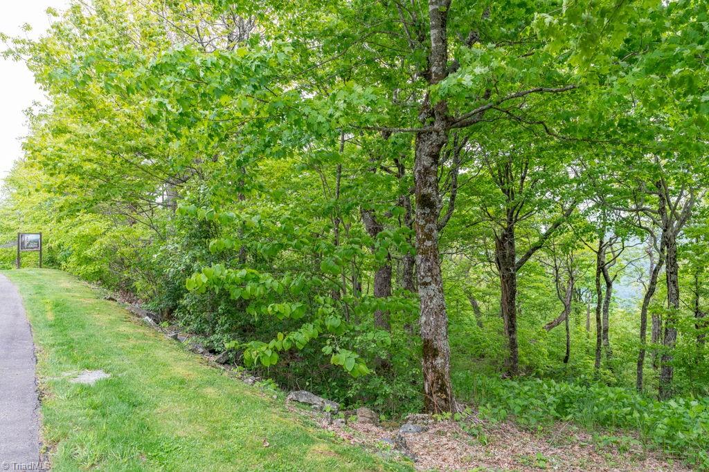 Lot #16 Crown Point Road, West Jefferson, North Carolina image 8