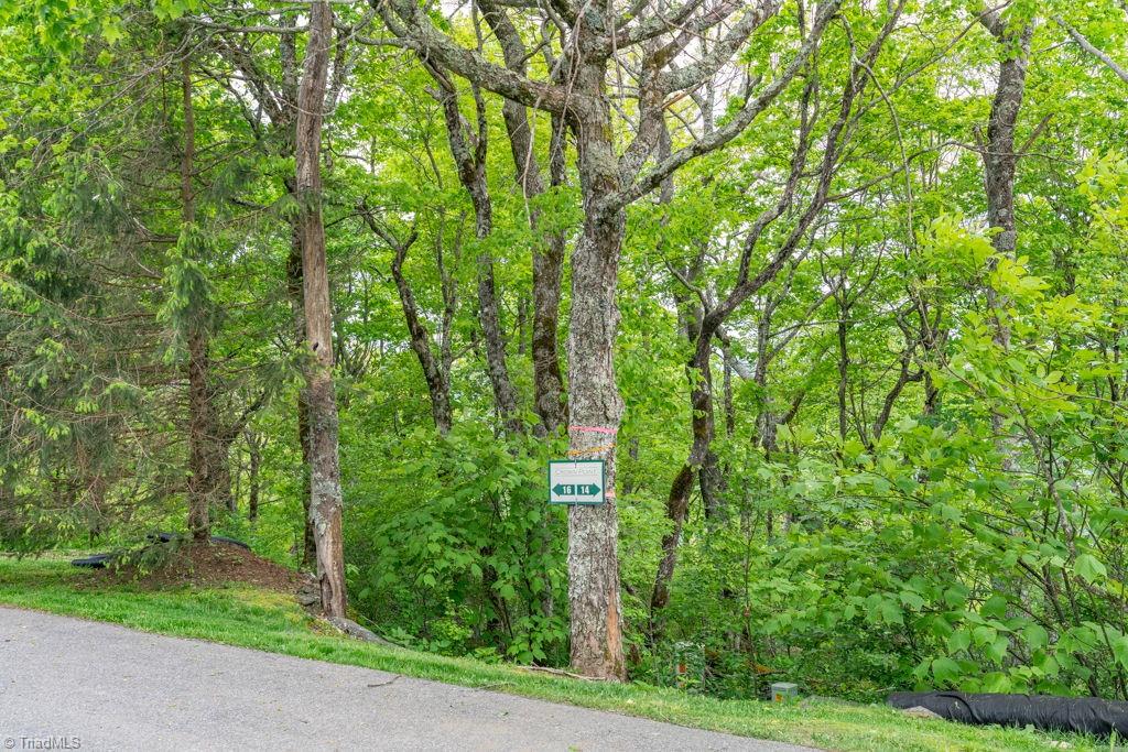Lot #16 Crown Point Road, West Jefferson, North Carolina image 6