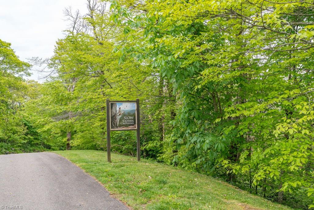 Lot #16 Crown Point Road, West Jefferson, North Carolina image 11