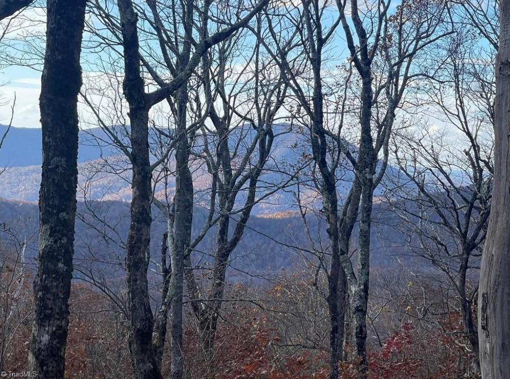 Lot #16 Crown Point Road, West Jefferson, North Carolina image 27