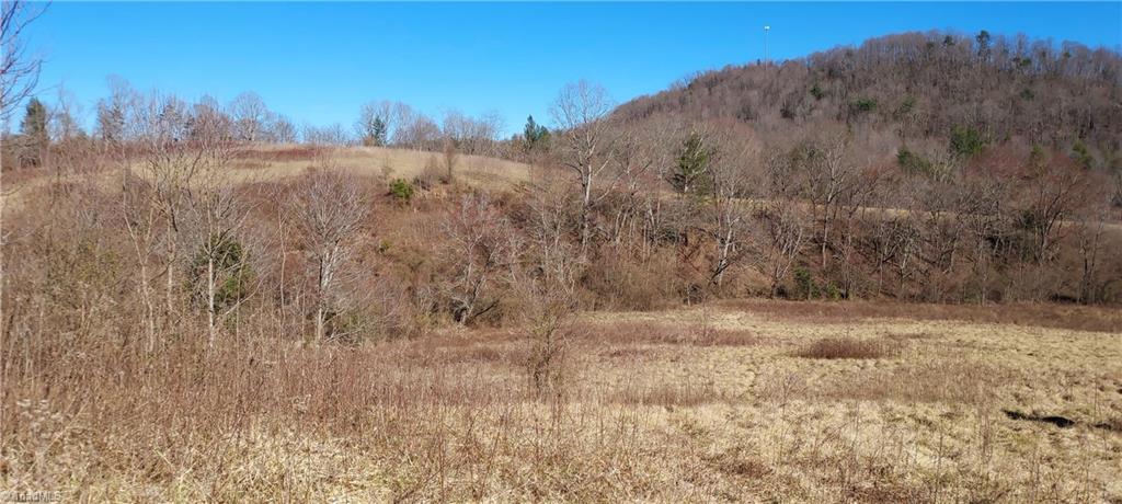 2900 Gladys Fork Road, Ferguson, North Carolina image 14