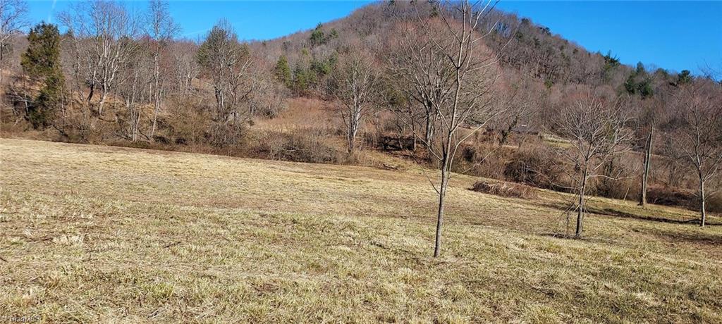 2900 Gladys Fork Road, Ferguson, North Carolina image 6