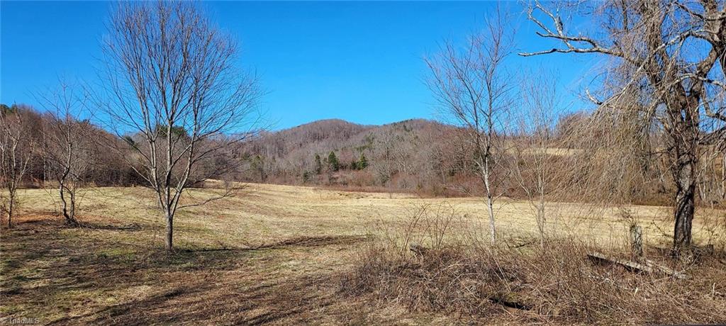 2900 Gladys Fork Road, Ferguson, North Carolina image 3