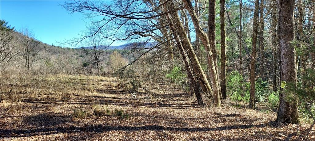 2900 Gladys Fork Road, Ferguson, North Carolina image 13