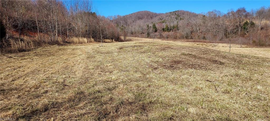 2900 Gladys Fork Road, Ferguson, North Carolina image 5