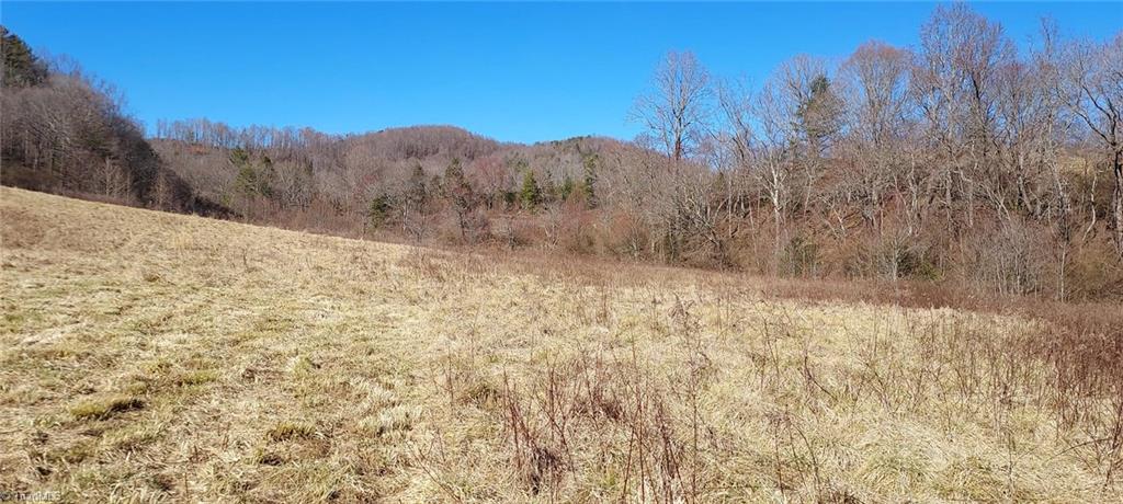 2900 Gladys Fork Road, Ferguson, North Carolina image 12