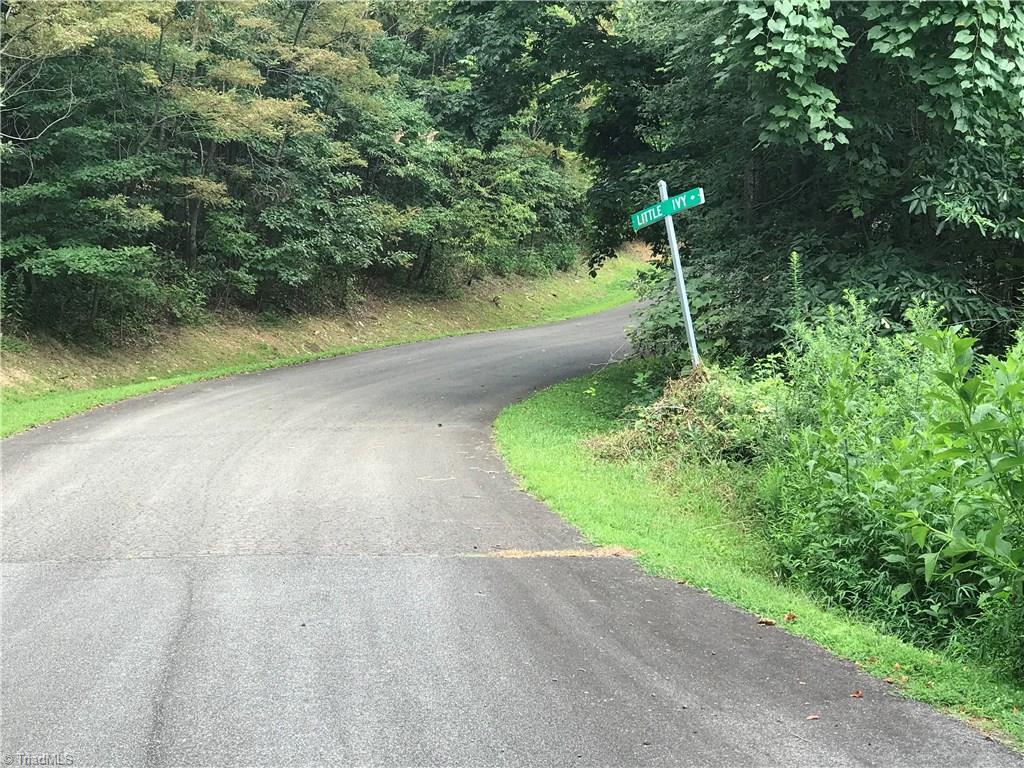 Little Ivy Lane, Deep Gap, North Carolina image 2