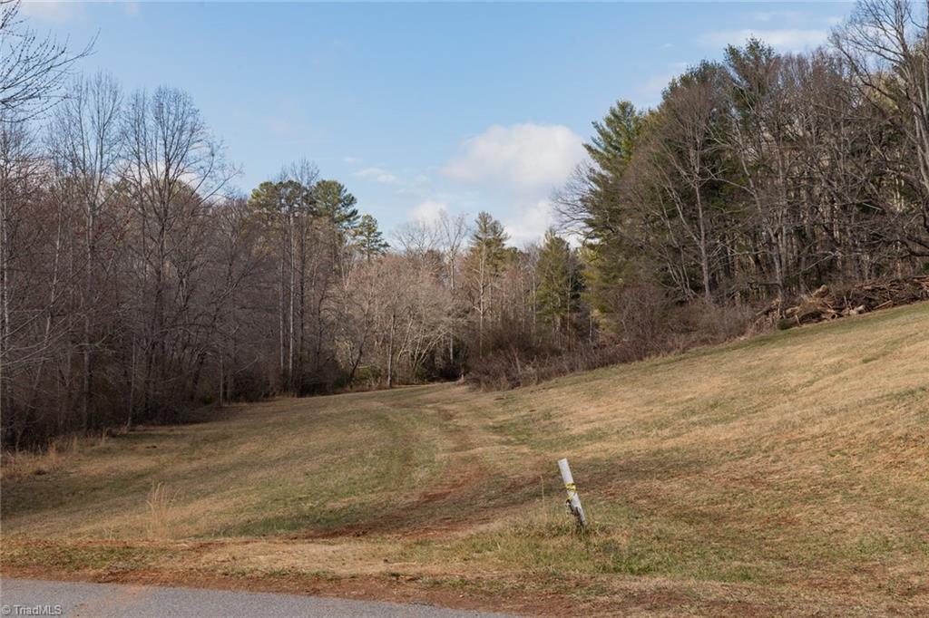 TBD Canterbury Drive, North Wilkesboro, North Carolina image 30