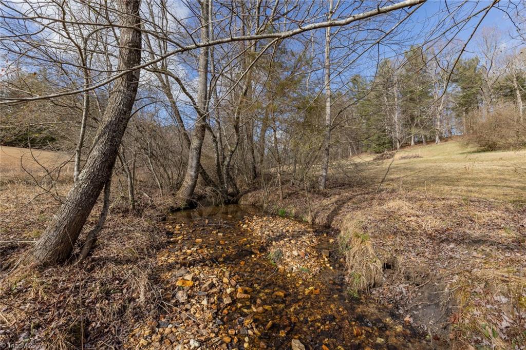 TBD Canterbury Drive, North Wilkesboro, North Carolina image 17