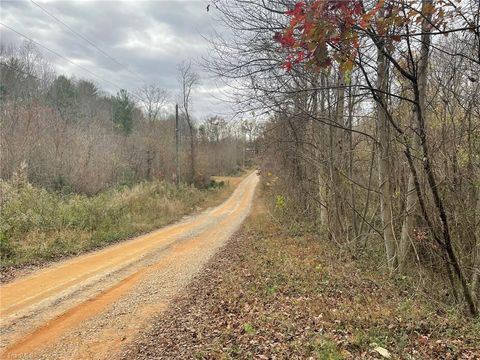 Vacant Land For Sale - BLOCK A Pulco Lane<br/> Ronda, NC 28670