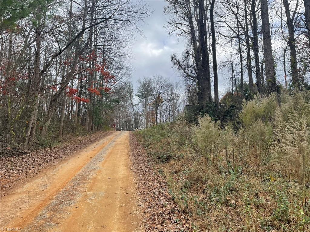 Block A Pulco Lane, Ronda, North Carolina image 4