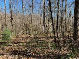 Lot 2 Stevens Drive, Jonesville, North Carolina image 6