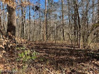 Lot 2 Stevens Drive, Jonesville, North Carolina image 3