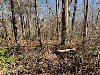 Lot 2 Stevens Drive, Jonesville, North Carolina image 5