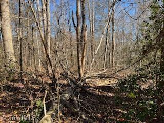 Lot 2 Stevens Drive, Jonesville, North Carolina image 4