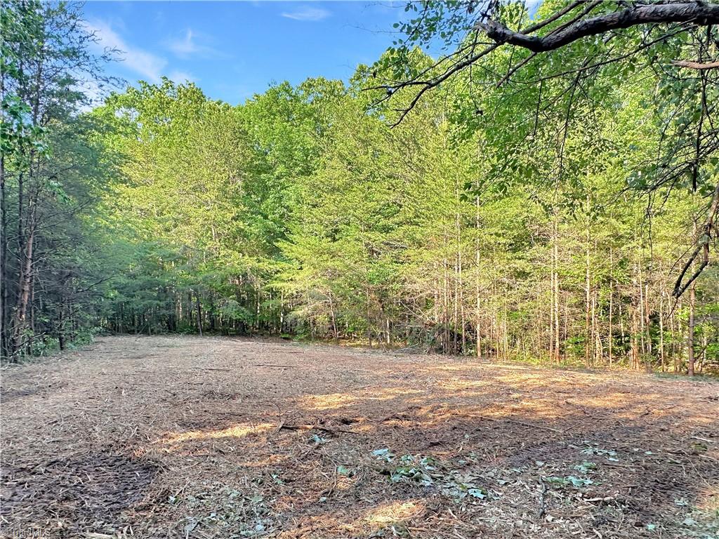 7612 Ridge Road, Tobaccoville, North Carolina image 7