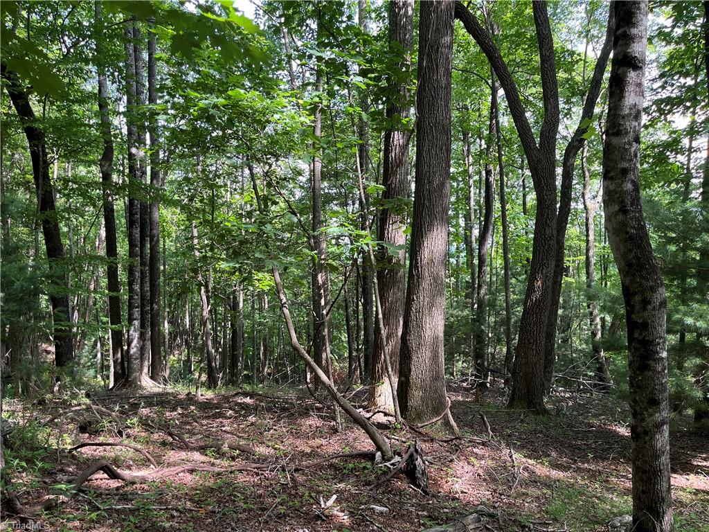 000 Rawhide Road, Millers Creek, North Carolina image 8