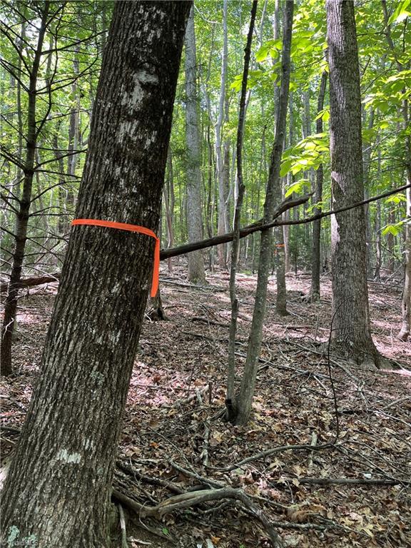 000 Rawhide Road, Millers Creek, North Carolina image 13