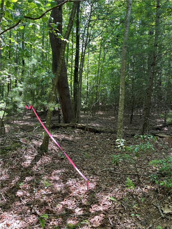 000 Rawhide Road, Millers Creek, North Carolina image 12