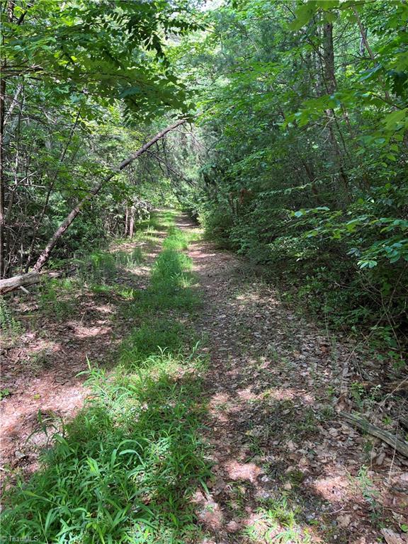 000 Rawhide Road, Millers Creek, North Carolina image 4