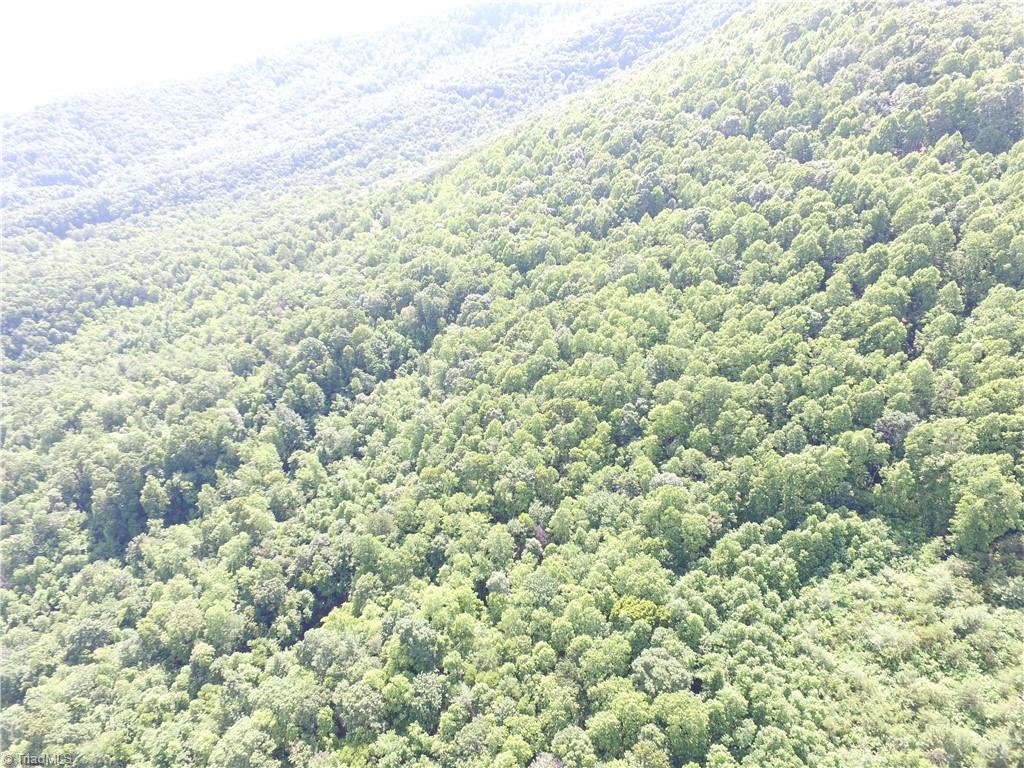 000 Rawhide Road, Millers Creek, North Carolina image 16