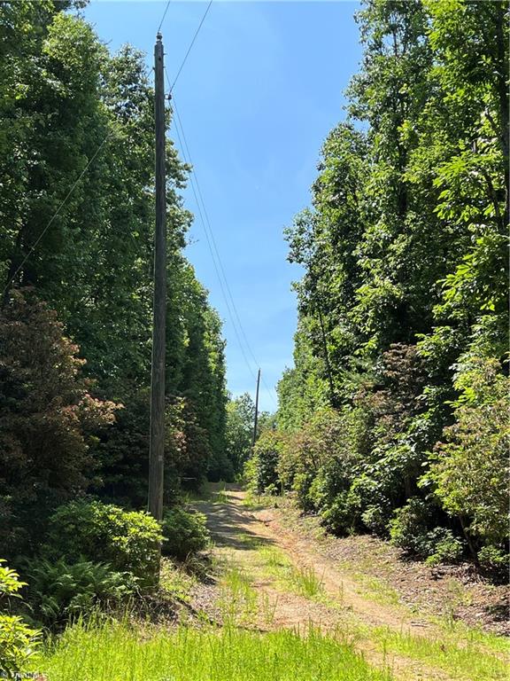 000 Rawhide Road, Millers Creek, North Carolina image 7