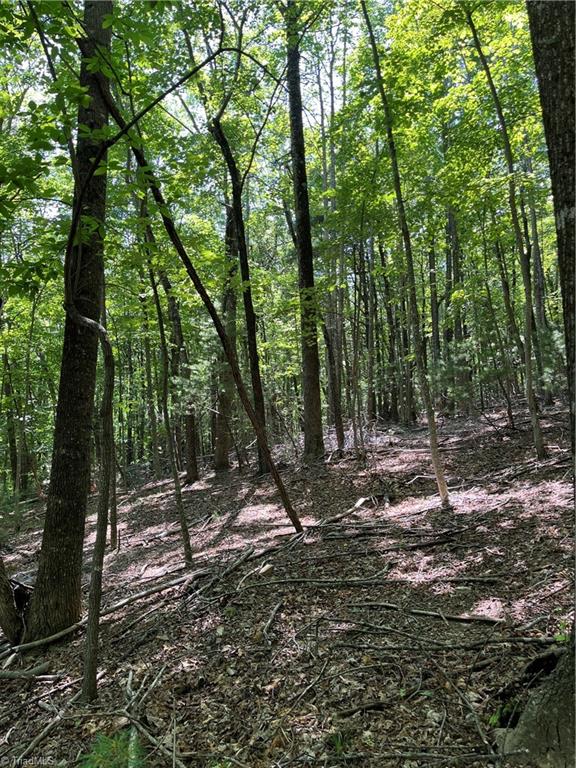 000 Rawhide Road, Millers Creek, North Carolina image 11